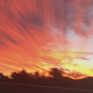 Meet your Posher, Yoni