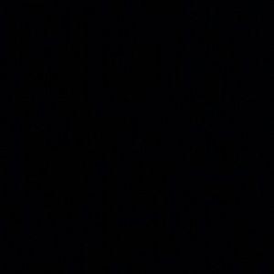 Meet your Posher, Sylvia