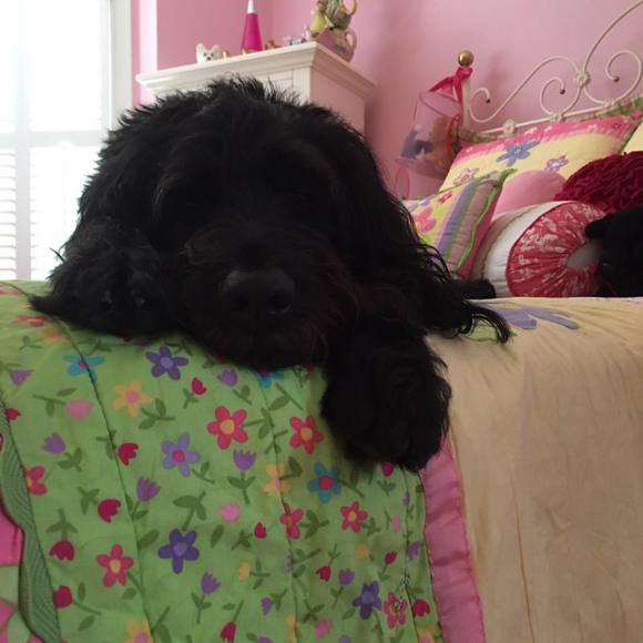 Meet your Posher, Kirsten