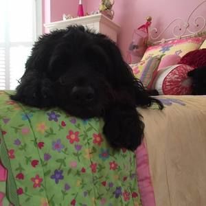 Meet your Posher, Kirsten