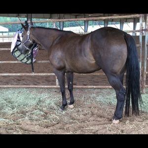 Meet your Posher, Donna