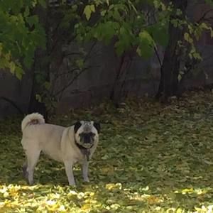 Meet your Posher, Christi