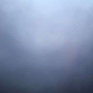 Meet your Posher, Shaniecd