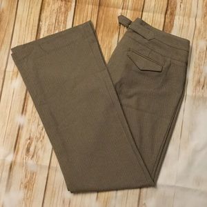 Express Editor 8R Pants