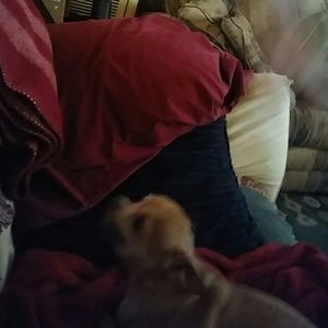 Meet your Posher, Jan