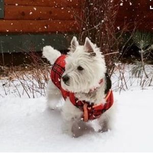 Meet your Posher, Olivia