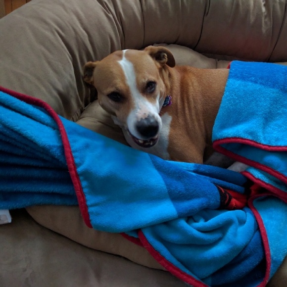 Meet your Posher, Lisa - Picture 1 of 1