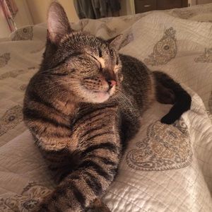 Meet your Posher, Amber