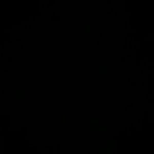 Meet your Posher, Zoey