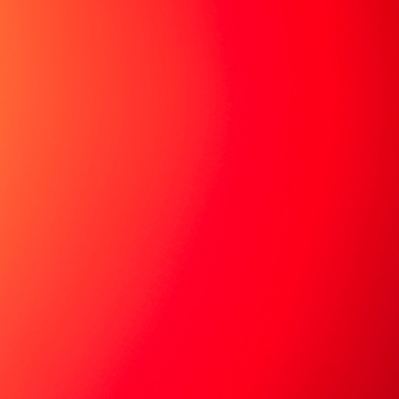 Meet your Posher, Darci