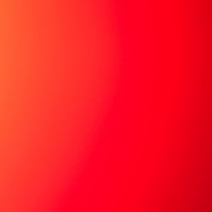 Meet your Posher, Darci