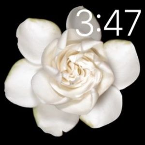 Meet your Posher, Suzette