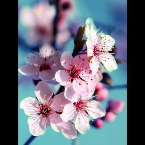 Meet your Posher, Mitzi