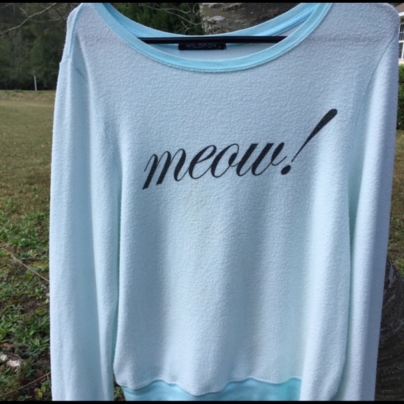 Wildfox Sweaters - Wildfox Meow Mint Green Jumper