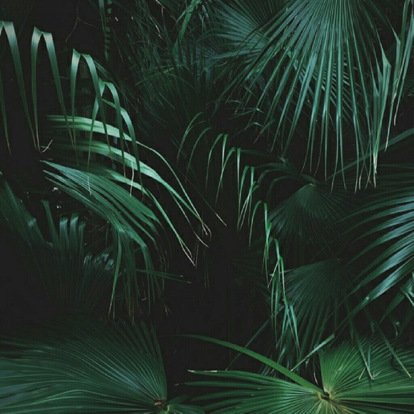 Meet your Posher, Amanda - Picture 1 of 1