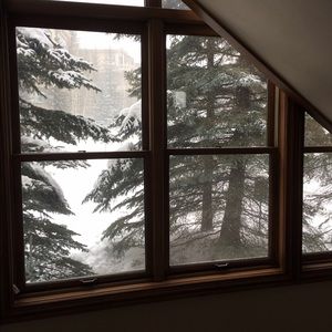 Meet your Posher, Carol