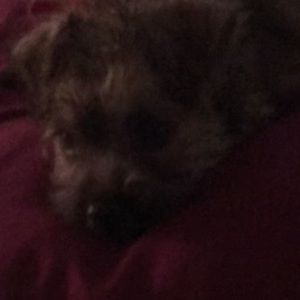 Meet your Posher, Juditte