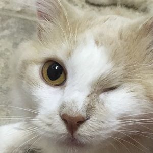 Meet your Posher, Tristan