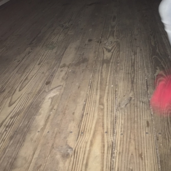 Meet your Posher, Mandie - Picture 1 of 1