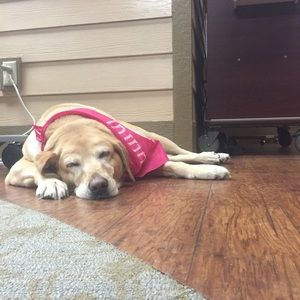 Meet your Posher, Sierra