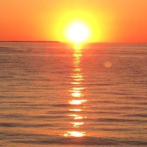 Meet your Posher, Jen