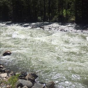 Meet your Posher, Lydia