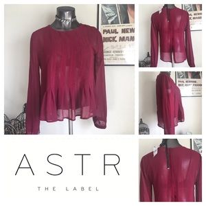 ASTR Red Zin Sheer Silk Pleated Long Sleeve Blouse