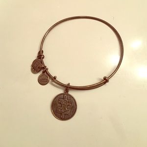 Autism Alex and Ani