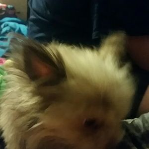 Meet your Posher, Jeanna