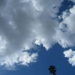 Meet your Posher, Joel