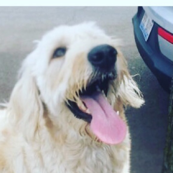 Meet your Posher, Jen