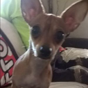 Meet your Posher, Kelly