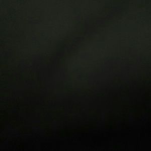 Meet your Posher, Annie