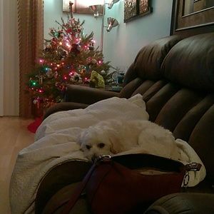 Meet your Posher, Mary