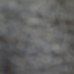 Meet your Posher, Christy