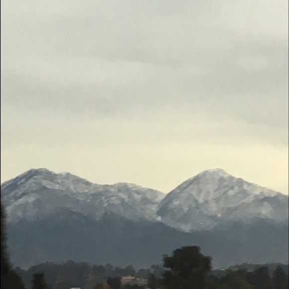 Meet your Posher, Ella