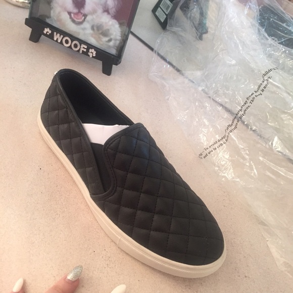 NEW Steve Madden sneakers