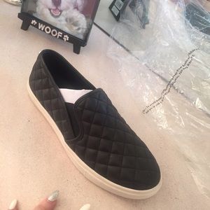 NEW Steve Madden sneakers