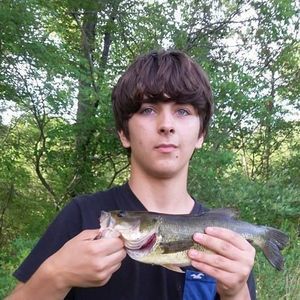 Meet your Posher, Damien