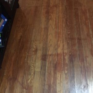 Meet your Posher, Albert