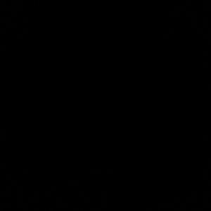 Meet your Posher, Javon