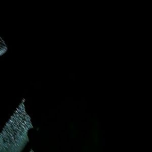 Meet your Posher, Zach