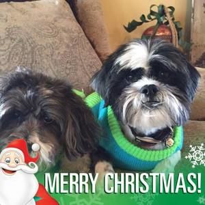 Meet your Posher, Carolyn