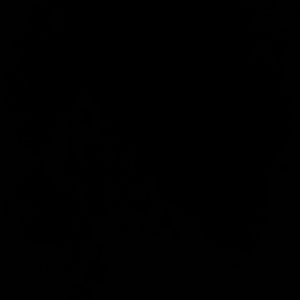 Meet your Posher, Joyce