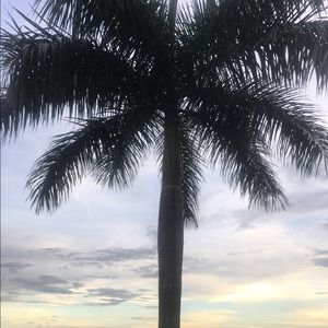 Meet your Posher, Daira