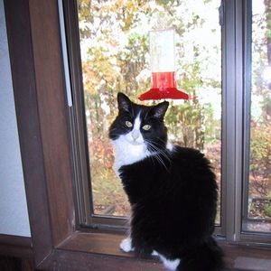 Meet your Posher, Barbara