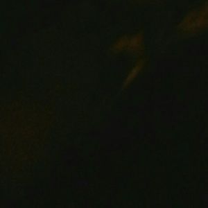 Meet your Posher, Keaton