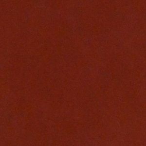 Meet your Posher, Noah