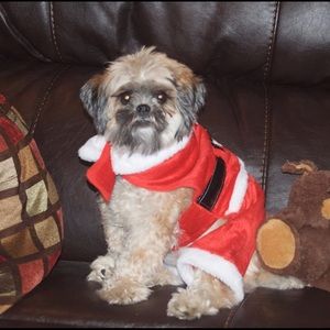 Meet your Posher, Maria