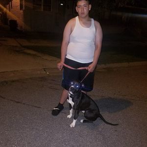 Meet your Posher, David